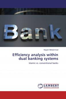 Efficiency analysis within dual banking systems