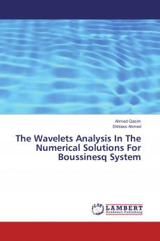 The Wavelets Analysis In The Numerical Solutions For Boussinesq System