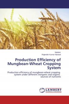 Production Efficiency of Mungbean-Wheat Cropping System