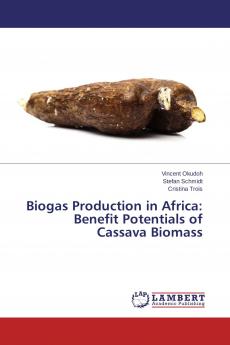 Biogas Production in Africa