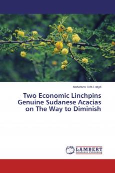 Two Economic Linchpins Genuine Sudanese Acacias on The Way to Diminish