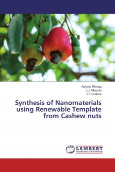 Synthesis of Nanomaterials using Renewable Template from Cashew nuts