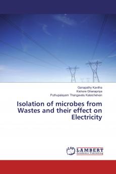 Isolation of microbes from Wastes and their effect on Electricity