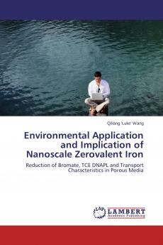 Environmental Application and Implication of Nanoscale Zerovalent Iron