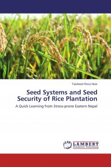 Seed Systems and Seed Security of Rice Plantation