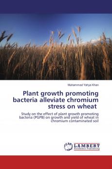 Plant growth promoting bacteria alleviate chromium stress on wheat