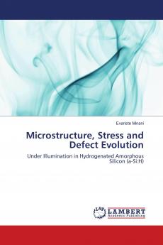 Microstructure Stress and Defect Evolution