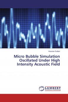 Micro Bubble Simulation Oscillated Under High Intensity Acoustic Field