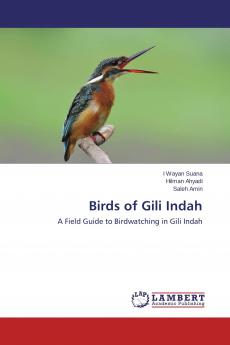 Birds of Gili Indah