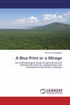 A Blue Print or a Mirage
