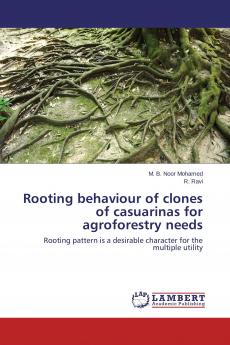 Rooting behaviour of clones of casuarinas for agroforestry needs