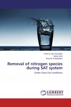 Removal of nitrogen species during SAT system