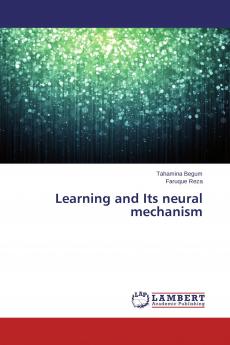 Learning and Its neural mechanism