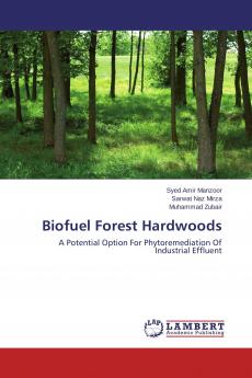 Biofuel Forest Hardwoods