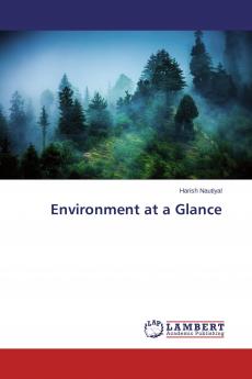 Environment at a Glance