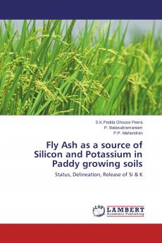 Fly Ash as a source of Silicon and Potassium in Paddy growing soils