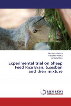 Experimental trial on Sheep Feed Rice Bran S.sesban and their mixture