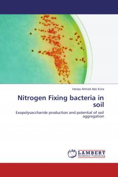 Nitrogen Fixing bacteria in soil