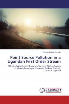 Point Source Pollution in a Ugandan First Order Stream