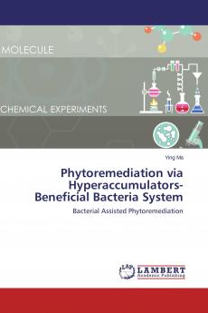 Phytoremediation via Hyperaccumulators-Beneficial Bacteria System