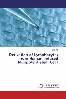 Derivation of Lymphocytes from Human induced Pluripotent Stem Cells