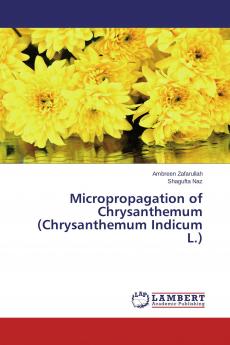 Micropropagation of Chrysanthemum (Chrysanthemum Indicum L.)