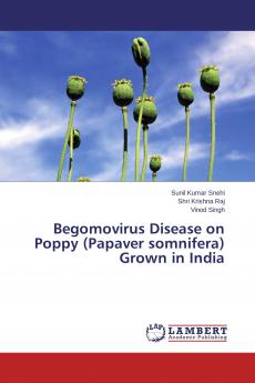 Begomovirus Disease on Poppy (Papaver somnifera) Grown in India