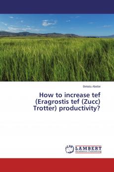 How to increase tef (Eragrostis tef (Zucc) Trotter) productivity?
