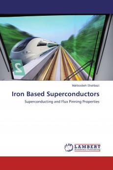 Iron Based Superconductors