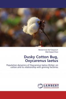 Dusky Cotton Bug Oxycarenus laetus
