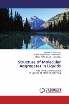 Structure of Molecular Aggregates in Liquids