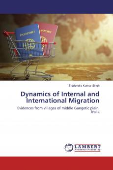 Dynamics of Internal and International Migration