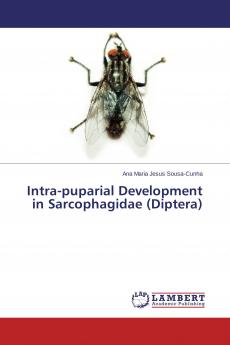 Intra-puparial Development in Sarcophagidae (Diptera)