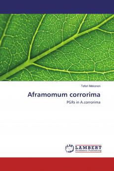 Aframomum corrorima