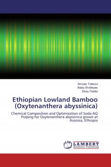 Ethiopian Lowland Bamboo (Oxytenanthera abyssinica)