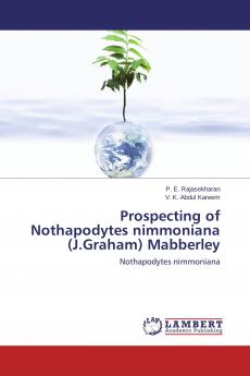 Prospecting of Nothapodytes nimmoniana (J.Graham) Mabberley