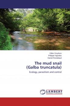 The mud snail (Galba truncatula)