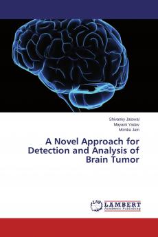 A Novel Approach for Detection and Analysis of Brain Tumor