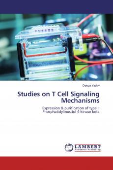 Studies on T Cell Signaling Mechanisms