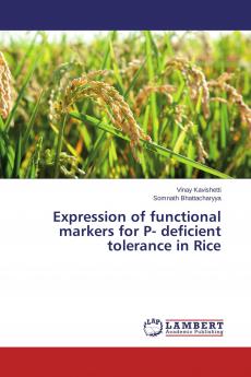 Expression of functional markers for P- deficient tolerance in Rice