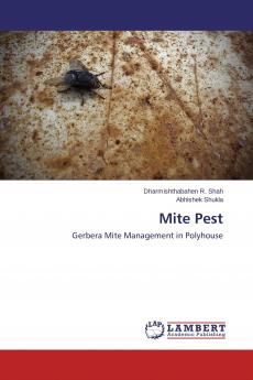 Mite Pest