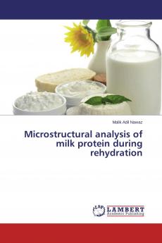 Microstructural analysis of milk protein during rehydration