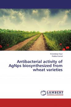 Antibacterial activity of AgNps biosynthesized from wheat varieties