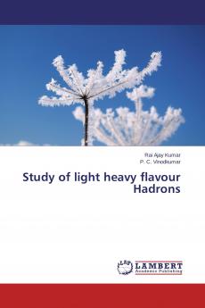 Study of light heavy flavour Hadrons