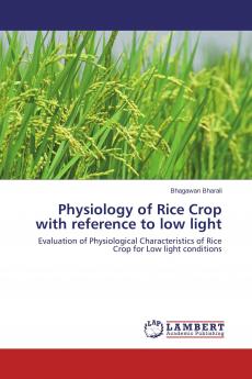 Physiology of Rice Crop with reference to low light