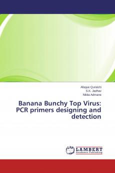 Banana Bunchy Top Virus