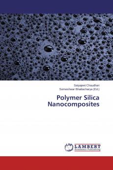 Polymer Silica Nanocomposites