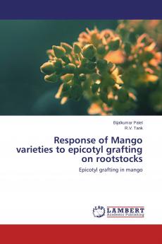 Response of Mango varieties to epicotyl grafting on rootstocks