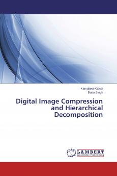 Digital Image Compression and Hierarchical Decomposition