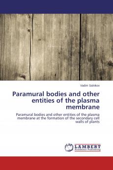 Paramural bodies and other entities of the plasma membrane